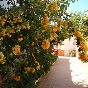 Playa Guest house